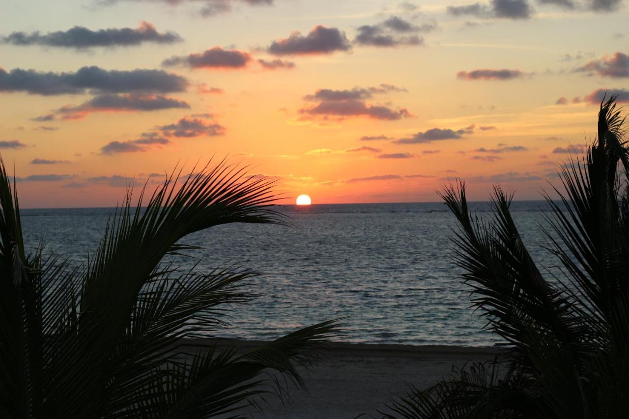 Casa Brisa Y Mar Villa Puerto Morelos Eksteriør billede